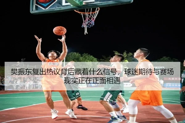 樊振东复出热议背后藏着什么信号，球迷期待与赛场现实正在正面相遇